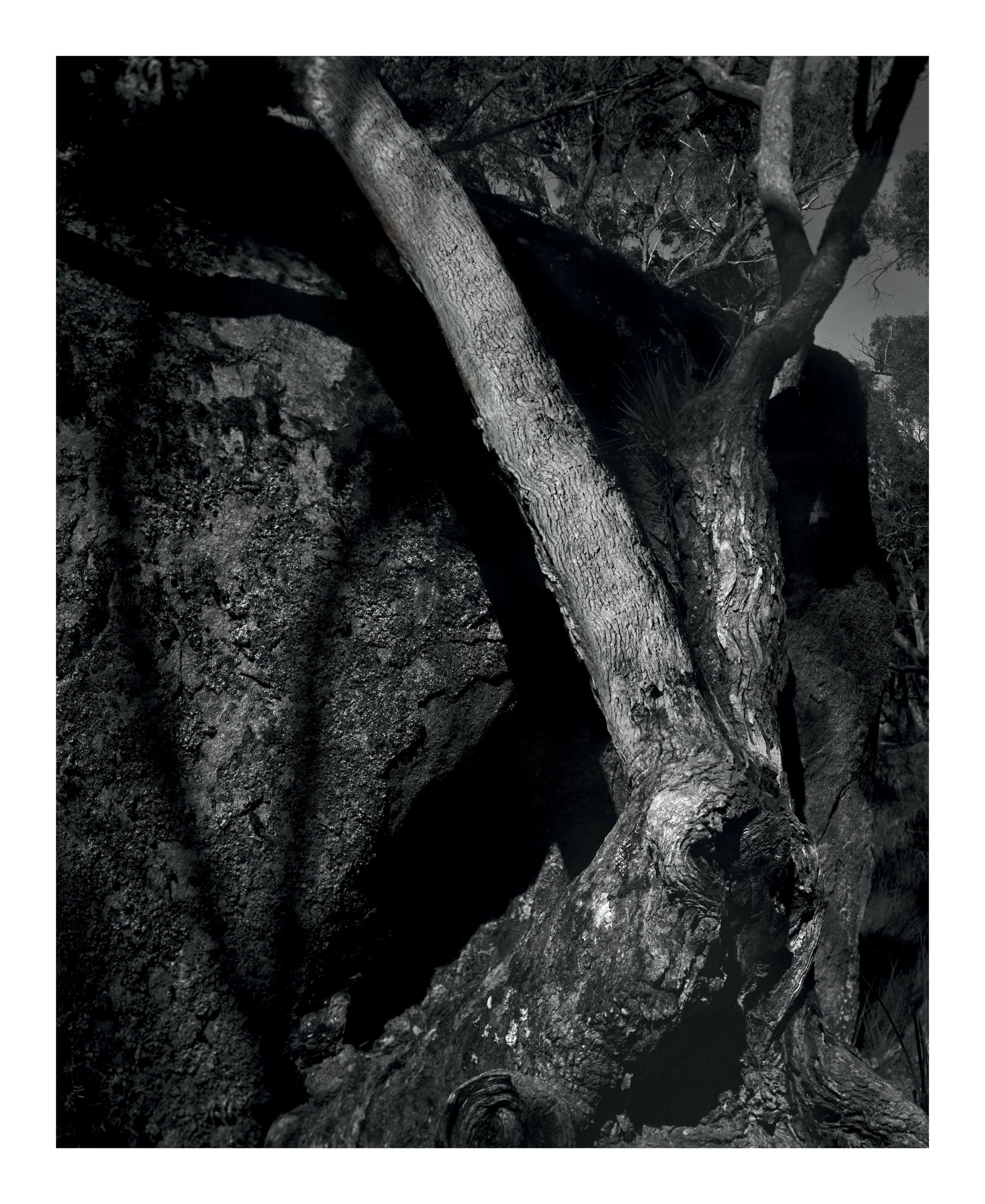 Beth MacRaild OLoughlin_Traces_06.jpg