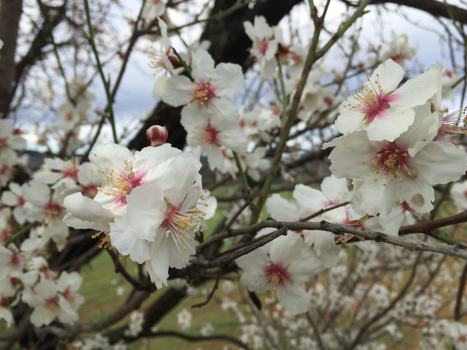 One Magic Question When You're Overwhelmed