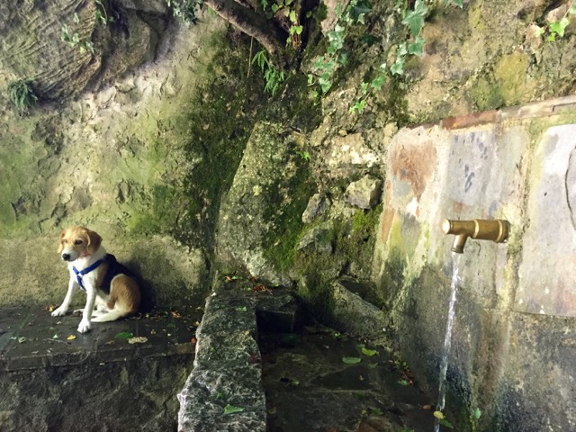 A water and shade break at the Font de Espinalbet.