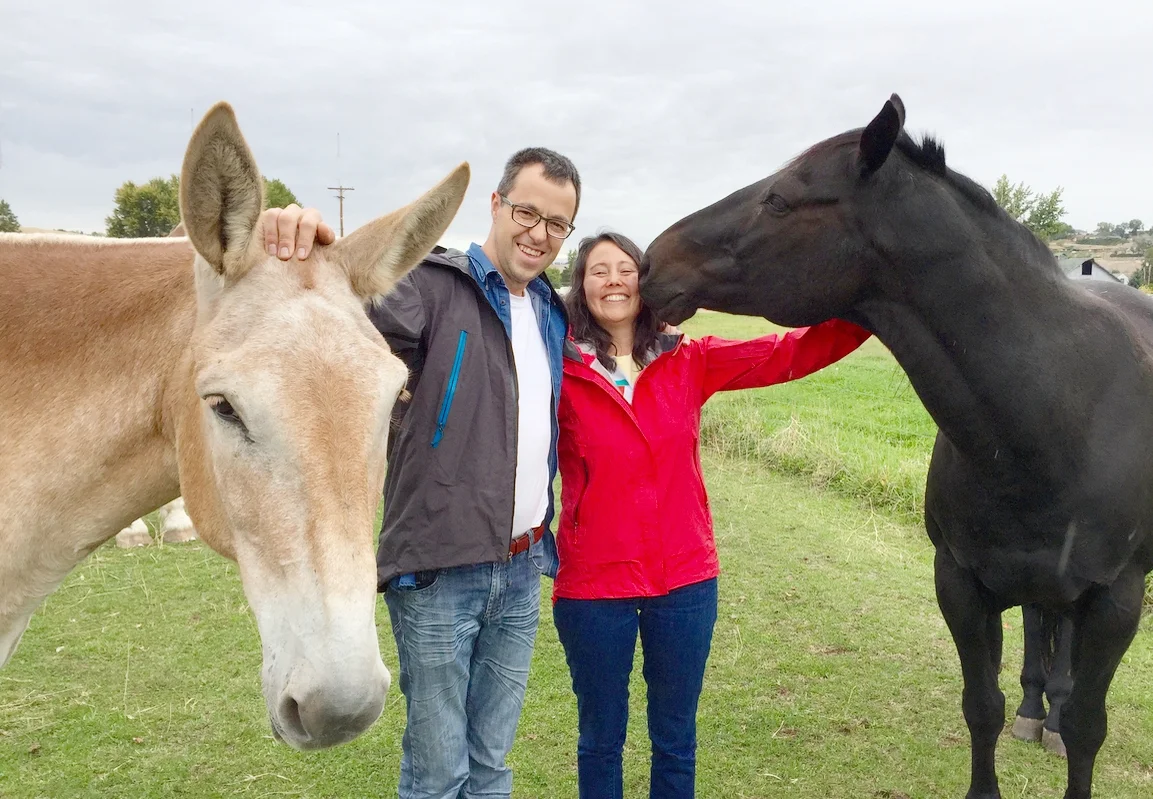 "Aw, can we keep him?" A friend of ours in Pendleton, Oregon, leads packing trips into the Wallowa Mountains. Here's two of her favorite mules, and probably the moment when my crazy idea was first seeded.