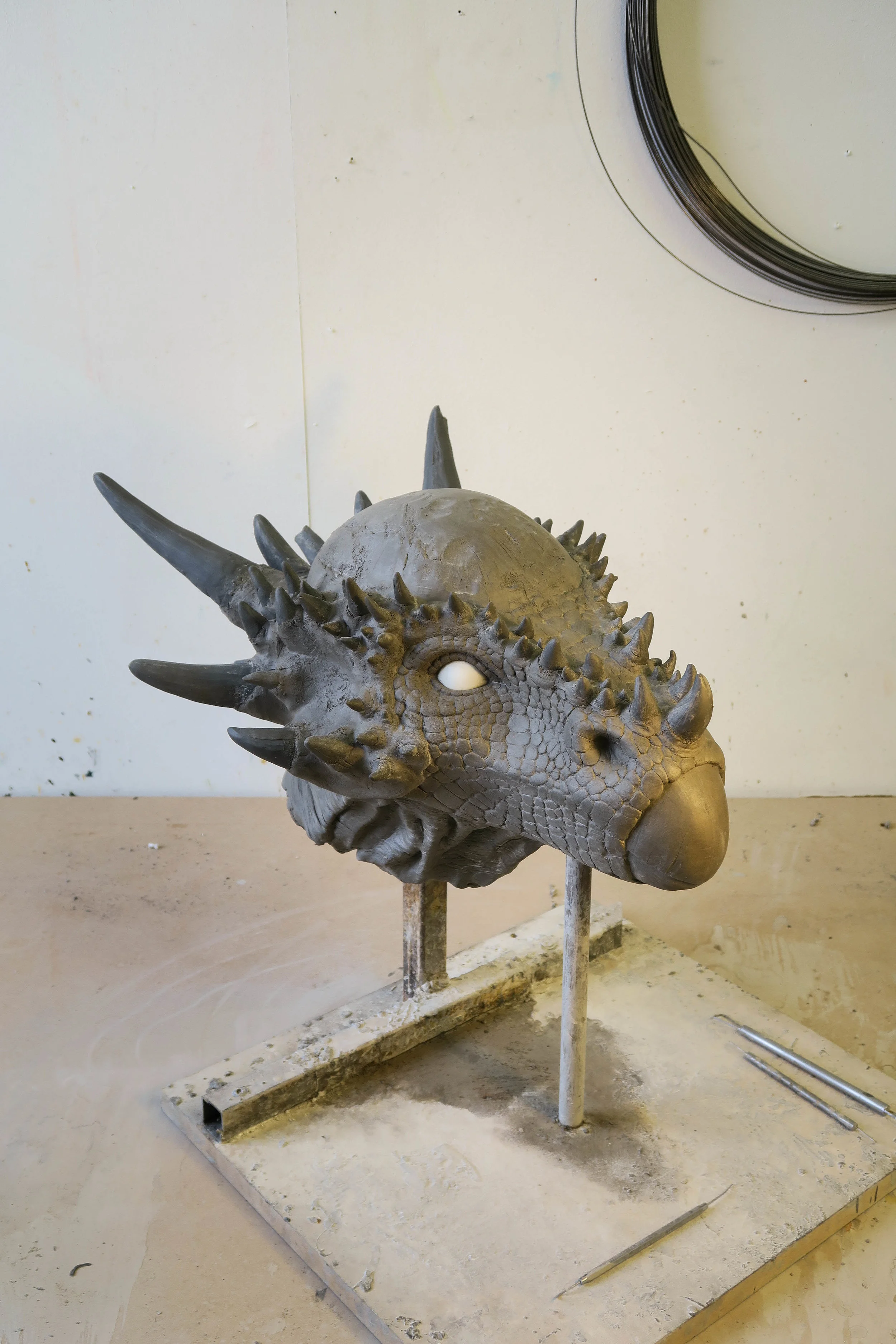 Pachycaphalosaurus (3 of 7).JPG