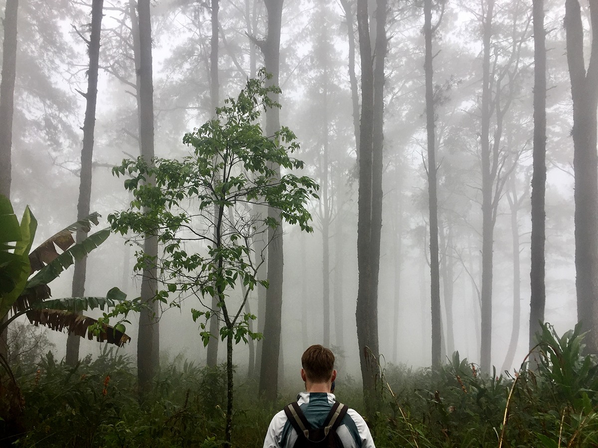 Chiang Mai Hiking Group Foggy Forest