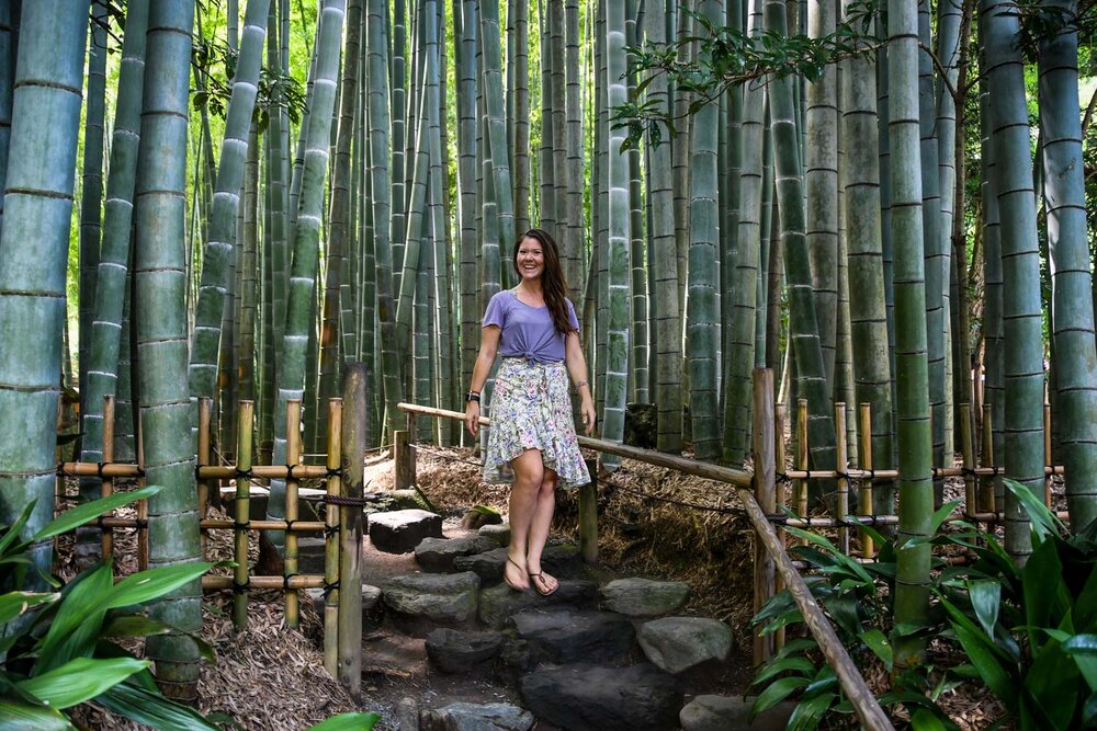 Fun Facts about Japan Bamboo Forest