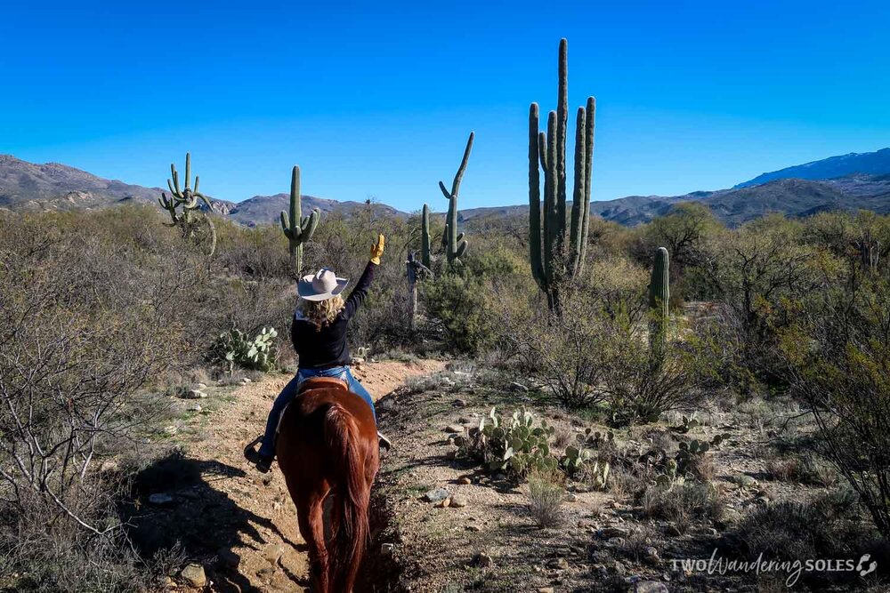 Things to Do in Tucson Houston's Horseback Riding