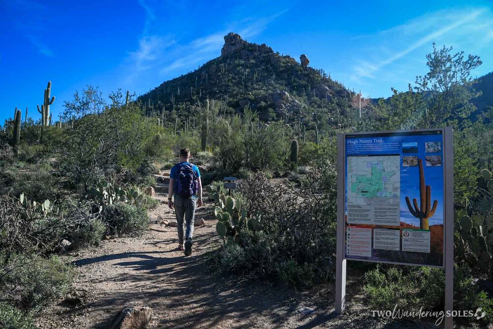 Things to Do in Tucson Saguaro National Park