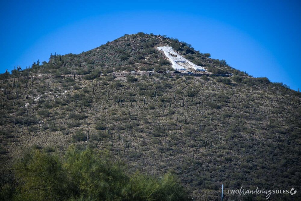 Things to Do in Tucson A Hill Sentinel Peak