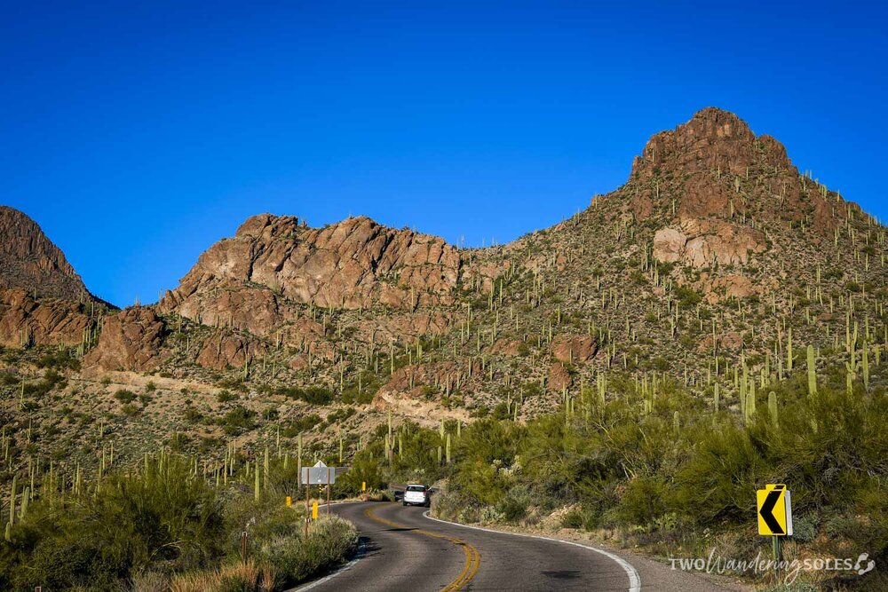 Things to Do in Tucson Mountain Park