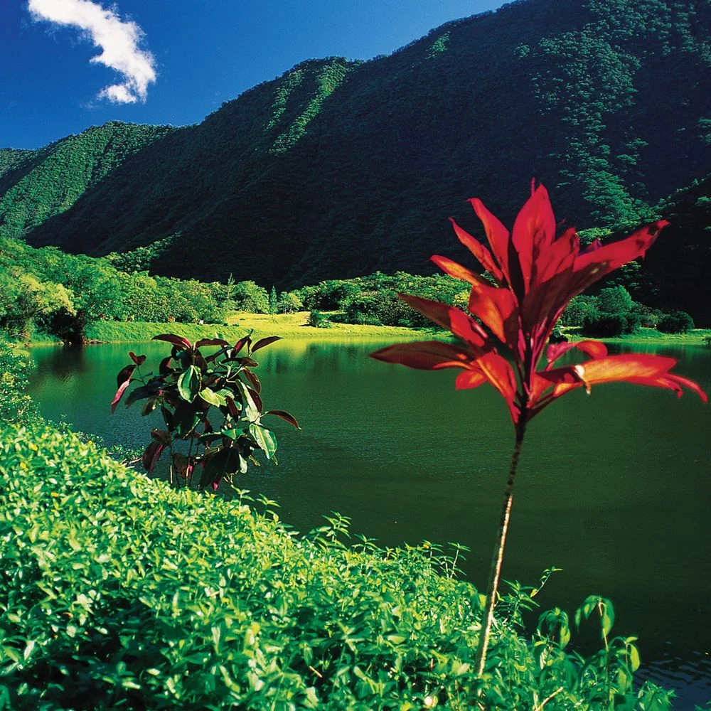 half-west-lake-mountain.jpg