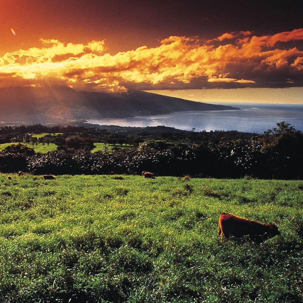 half-west-sunset-from-mountains.jpg