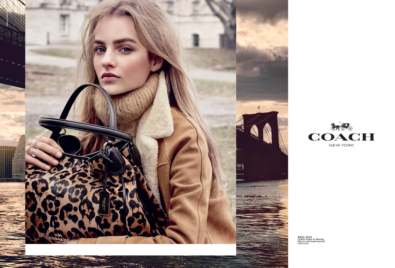 coach ad 01.jpg