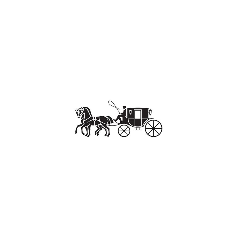 Coach Logo Small.jpg