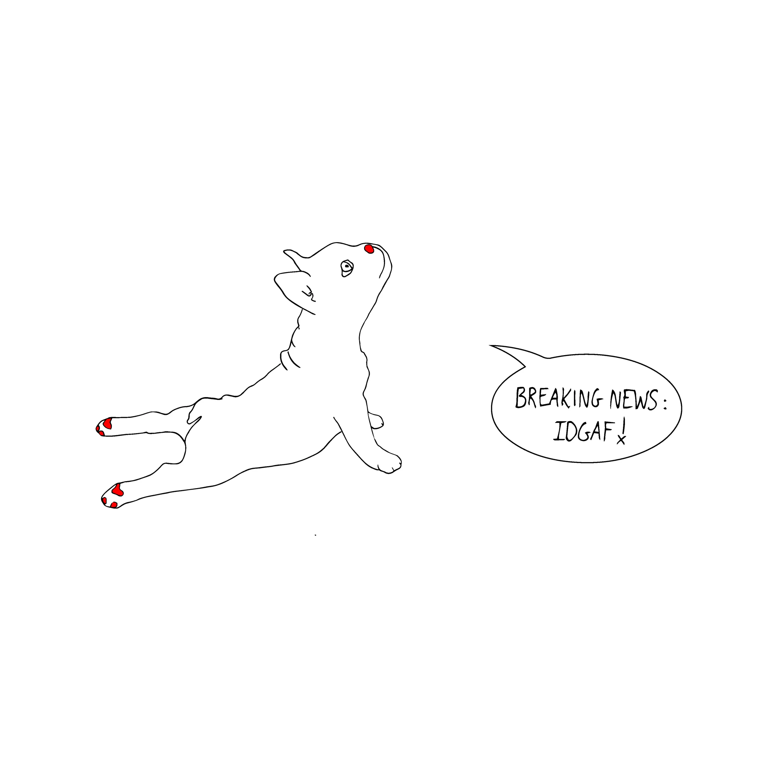 Dog-01.jpg