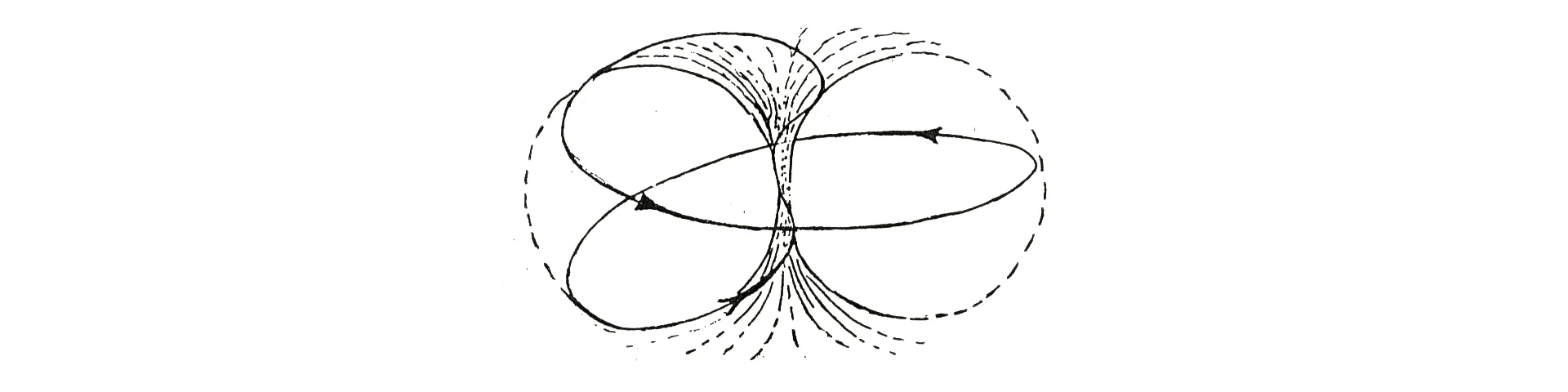 torus blog.jpg