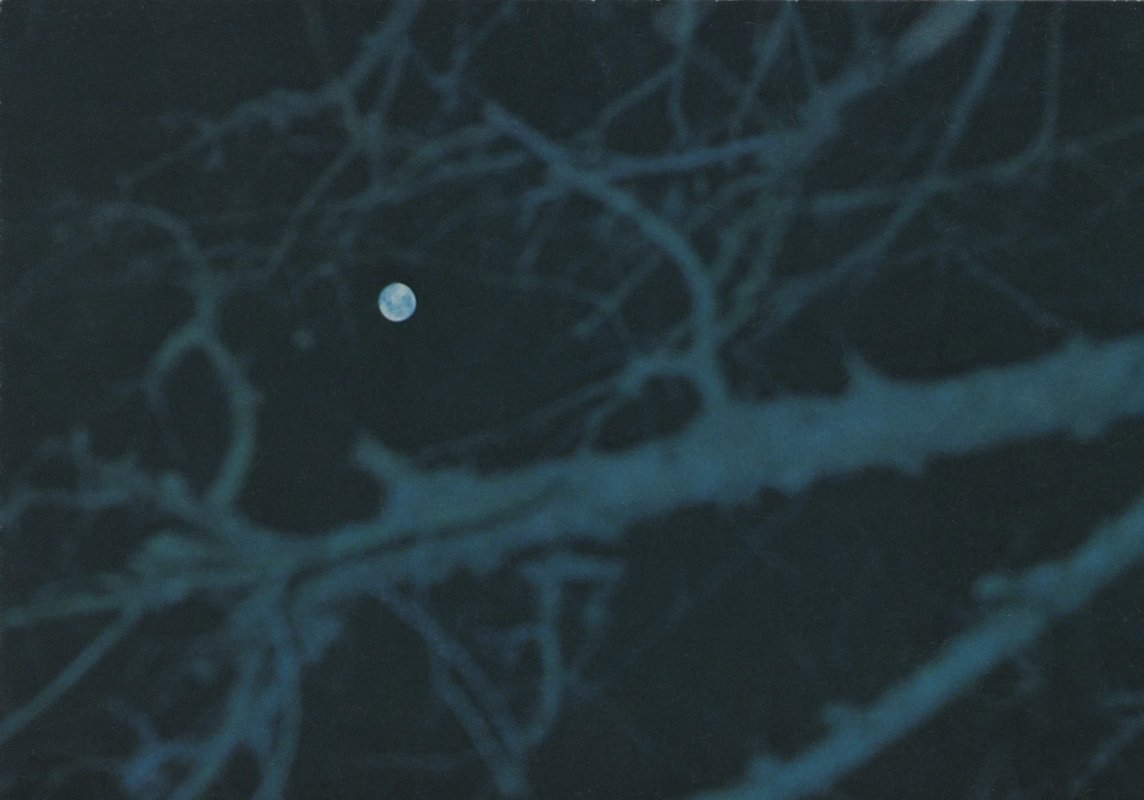 Postcard purchased during my first visit to MASP - Museu de Arte de Sao Paulo, in 1991.