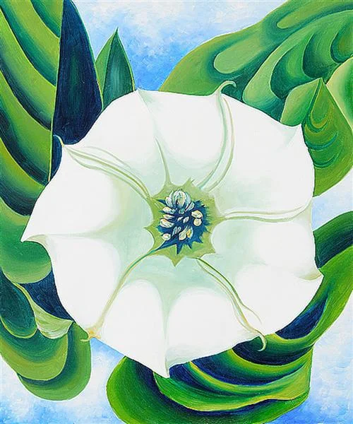 Georgia O'Keeffe ~ Jimson Weed, 1932.