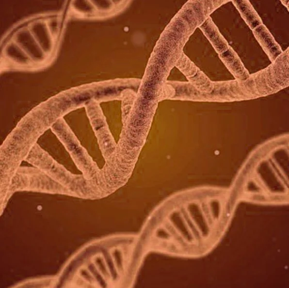 dna.jpg