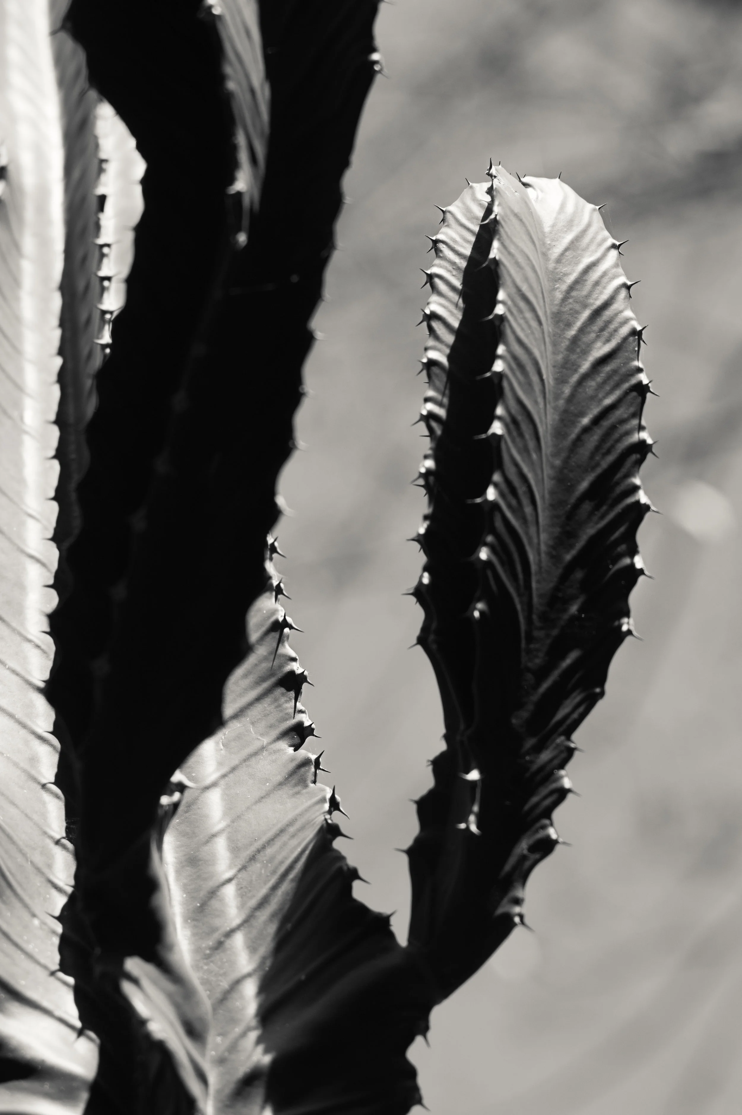 JEC_5287-Edit-2.jpg