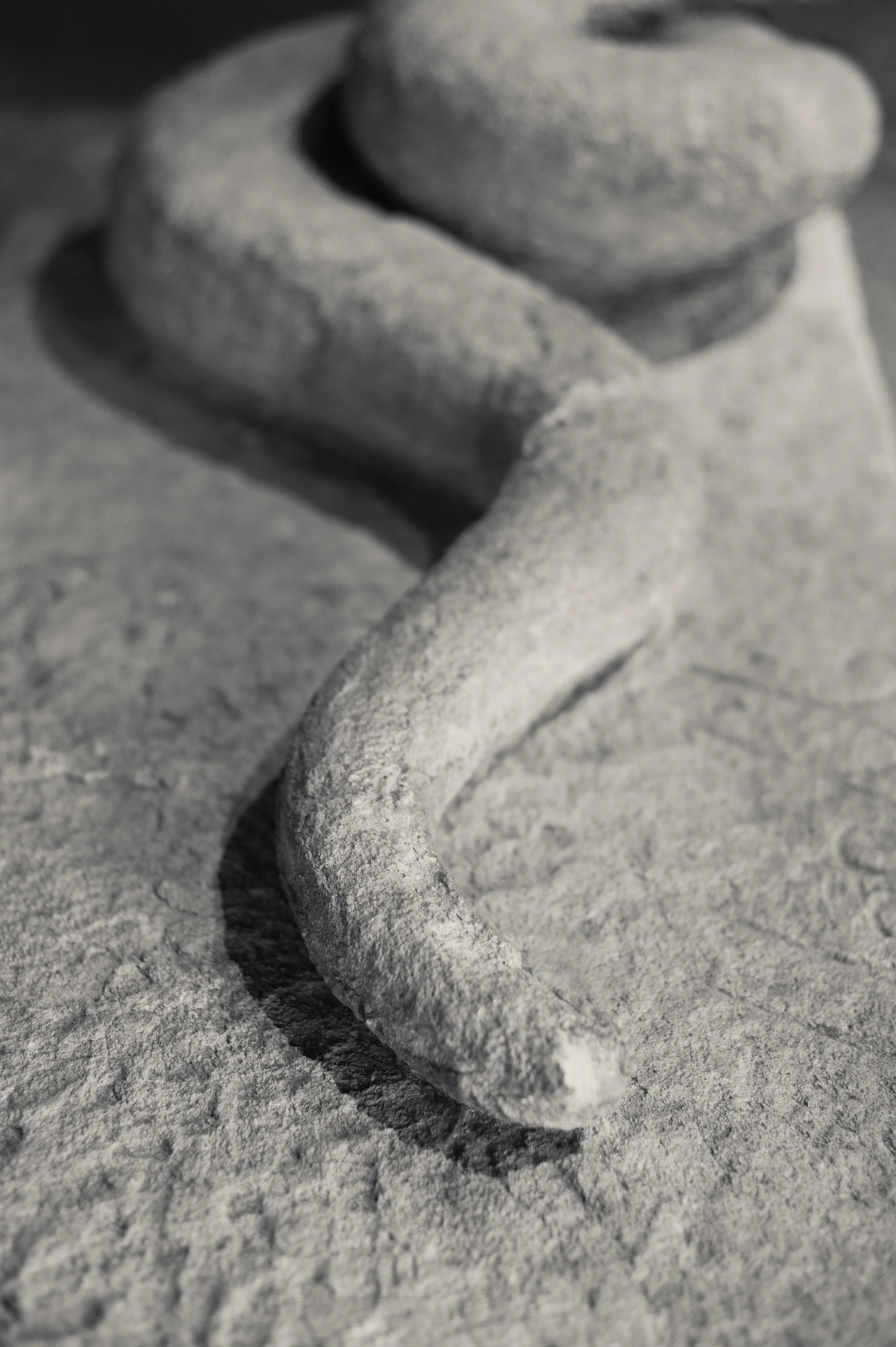 JEC_5272-Edit-Edit.jpg