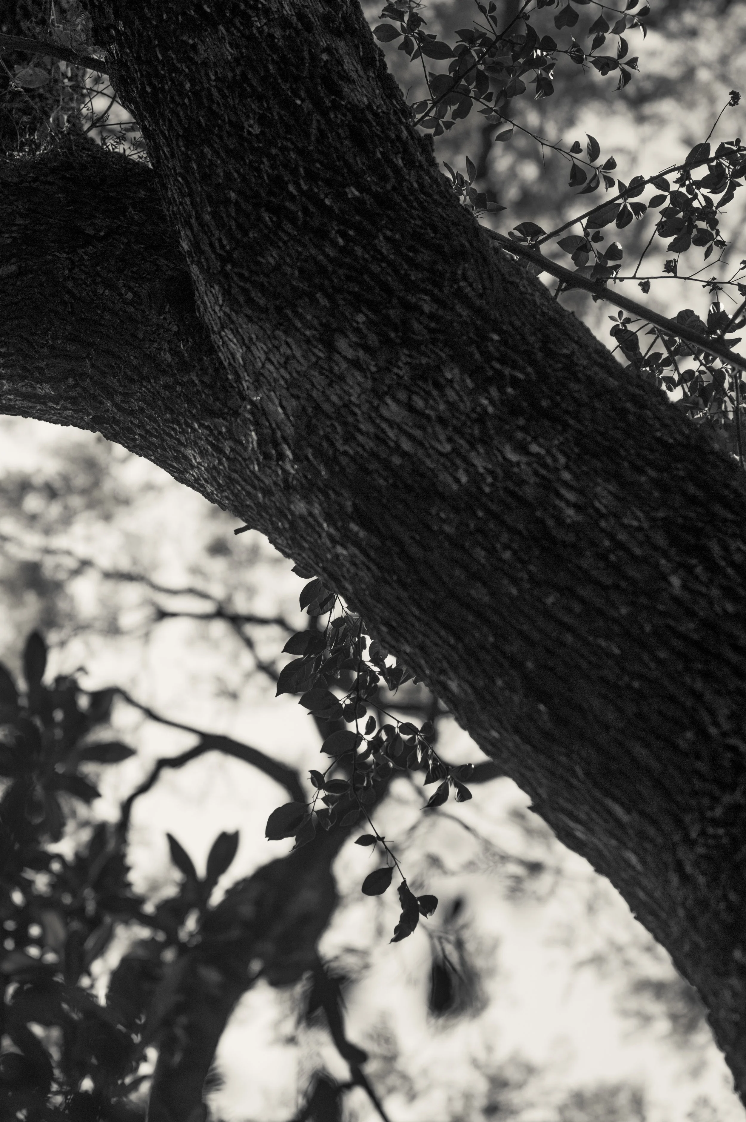 JEC_5305-Edit-2.jpg