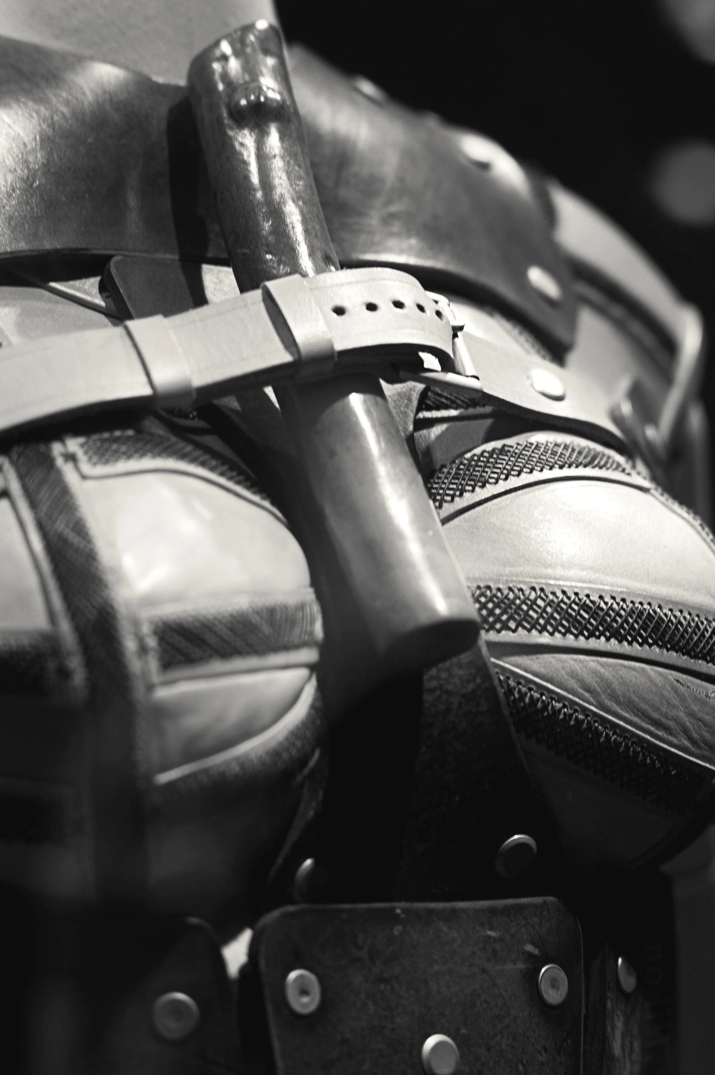 JEC_5352-Edit-Edit.jpg