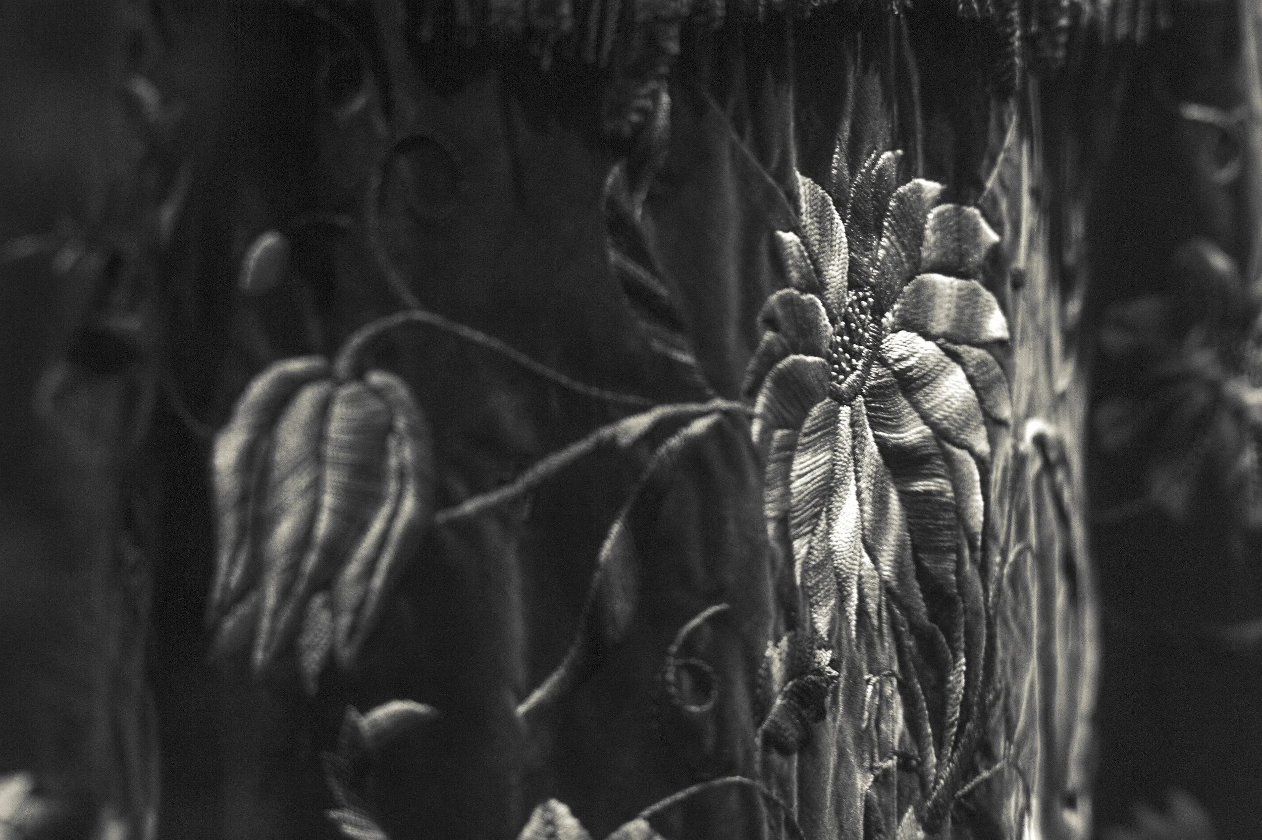 JEC_5330-Edit-Edit.jpg