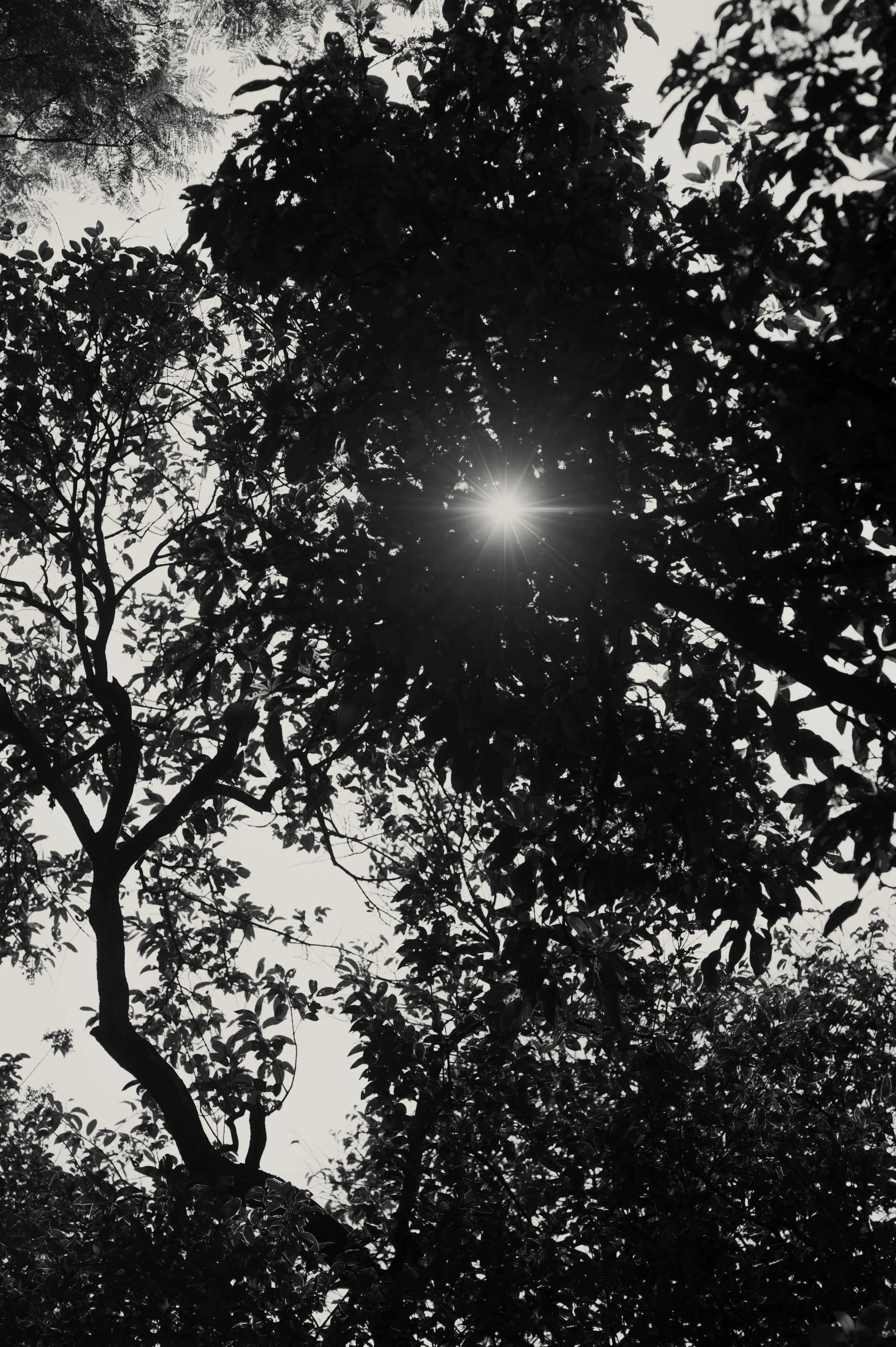 JEC_5308-Edit-2.jpg