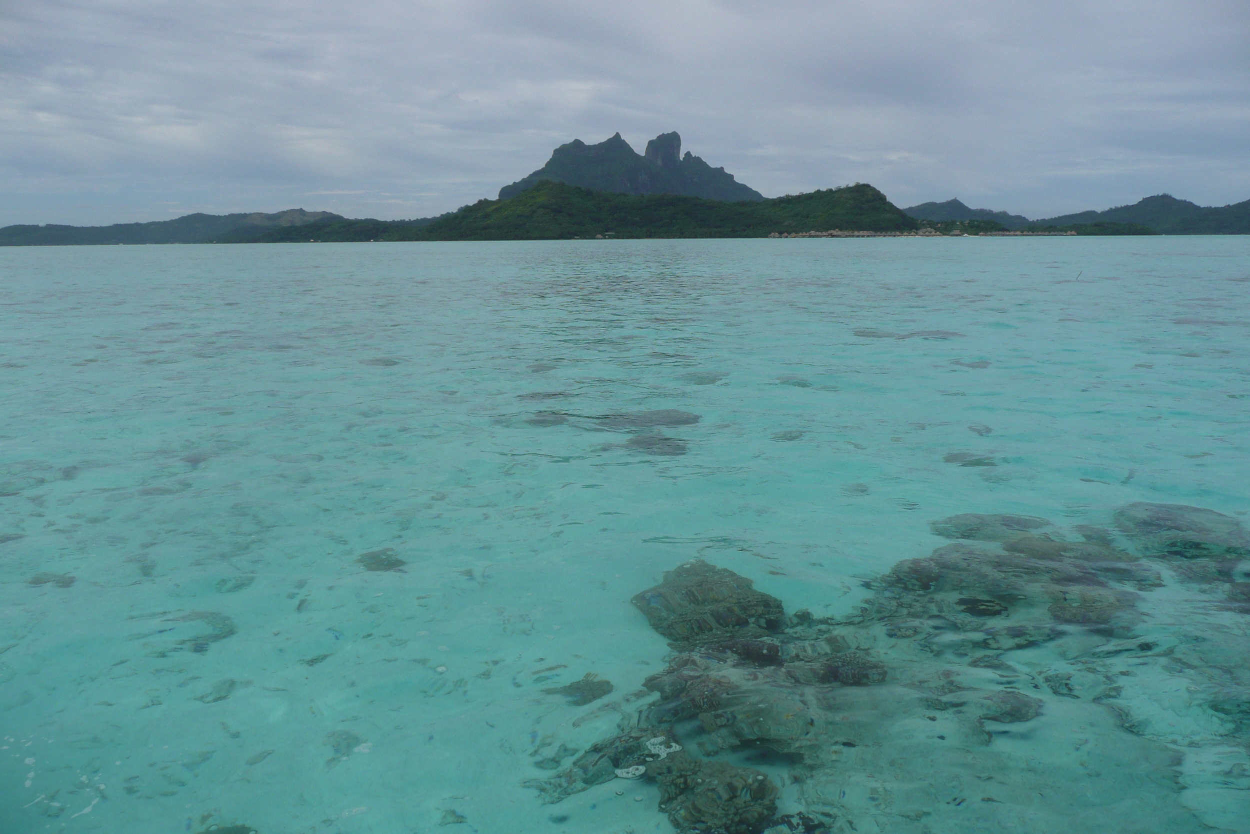 CookIslands_P1040107.JPG