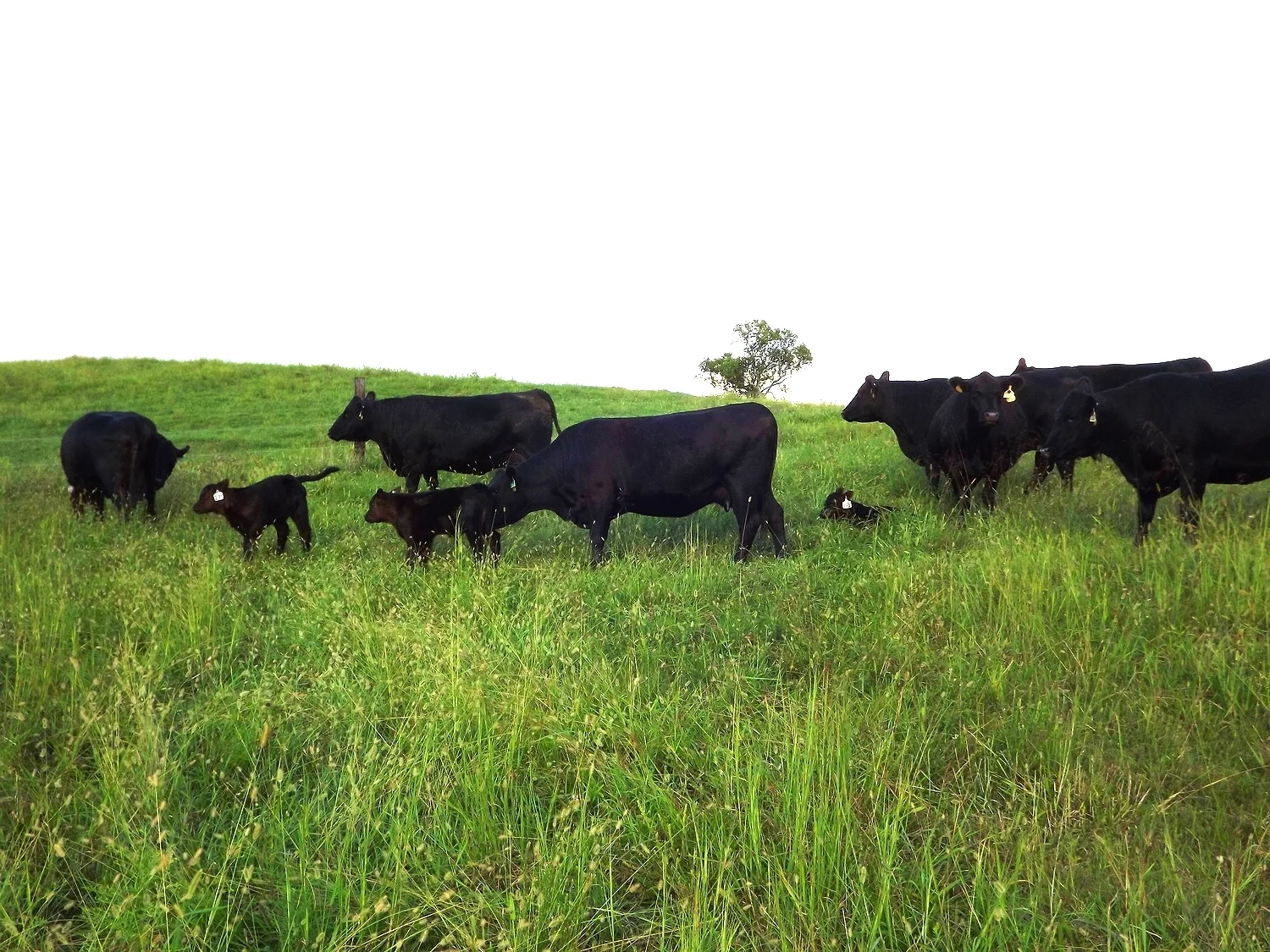 WEBSITE TAKE 1 022.JPG