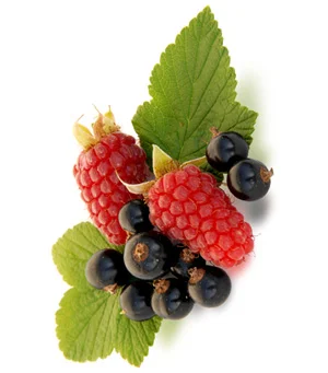 Maintaining a Healthy Lifestyle