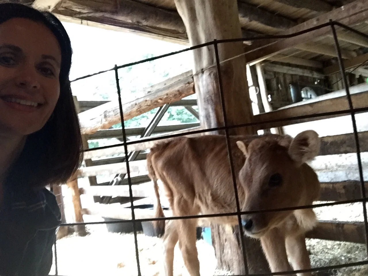 On the Dairy Farm Tour