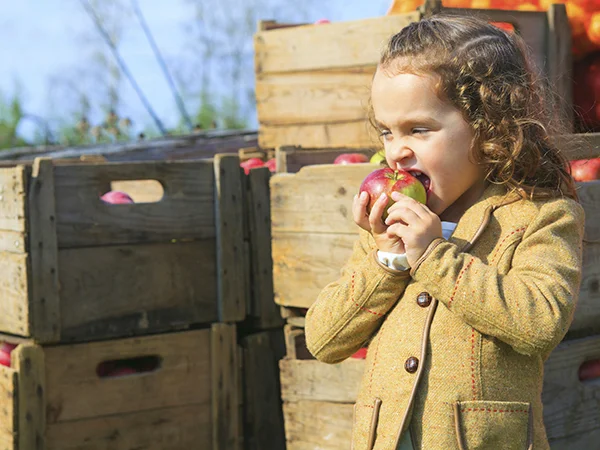 Eating Healthy in 2016