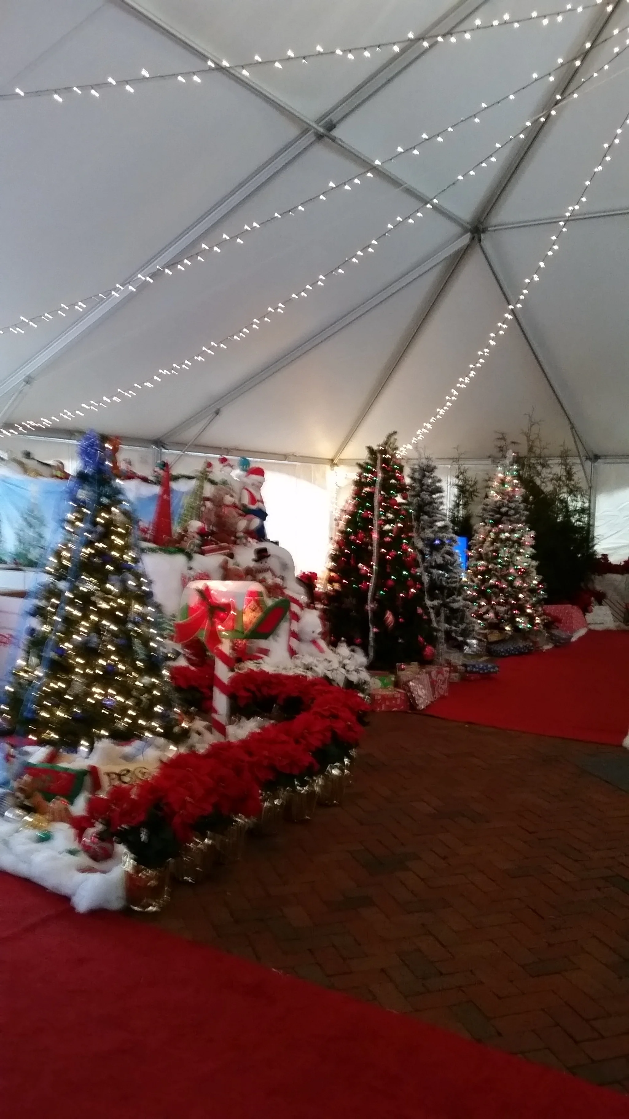 Santa in the Gardens 2014