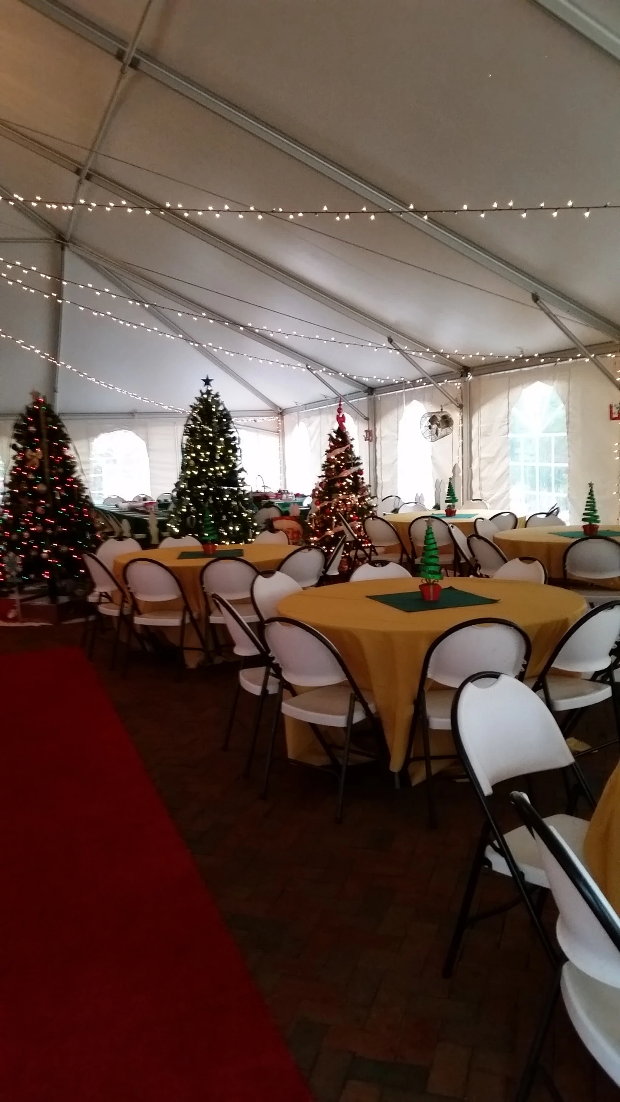 Santa in the Gardens 2014