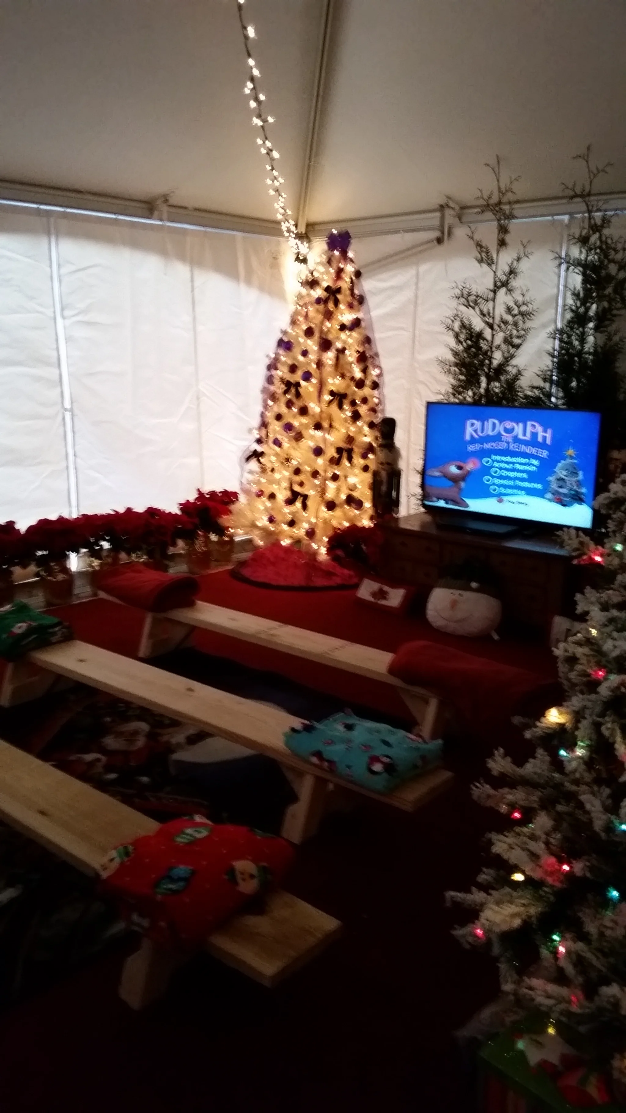 Santa in the Gardens 2014