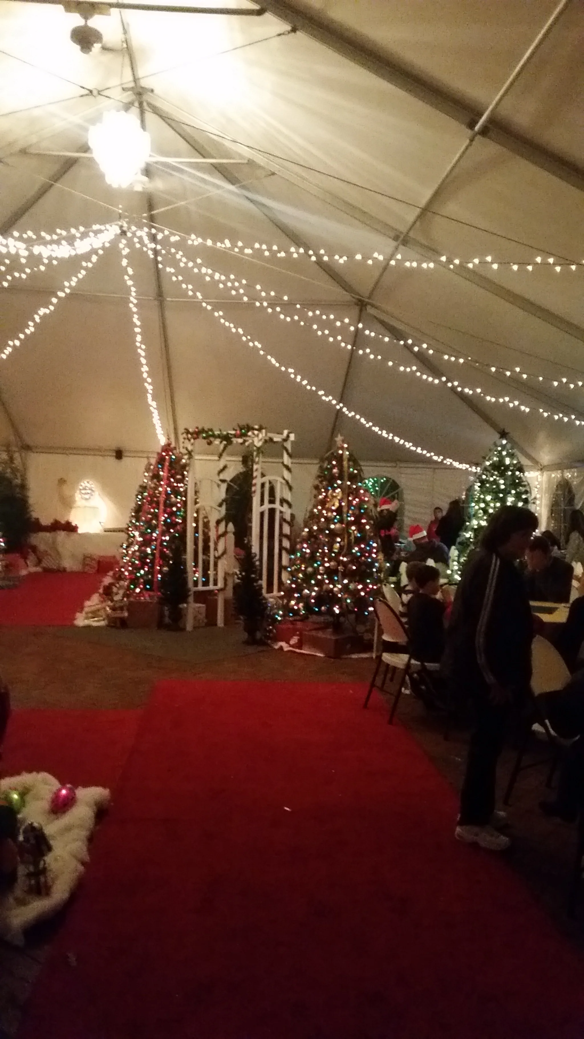 Santa in the Gardens 2014