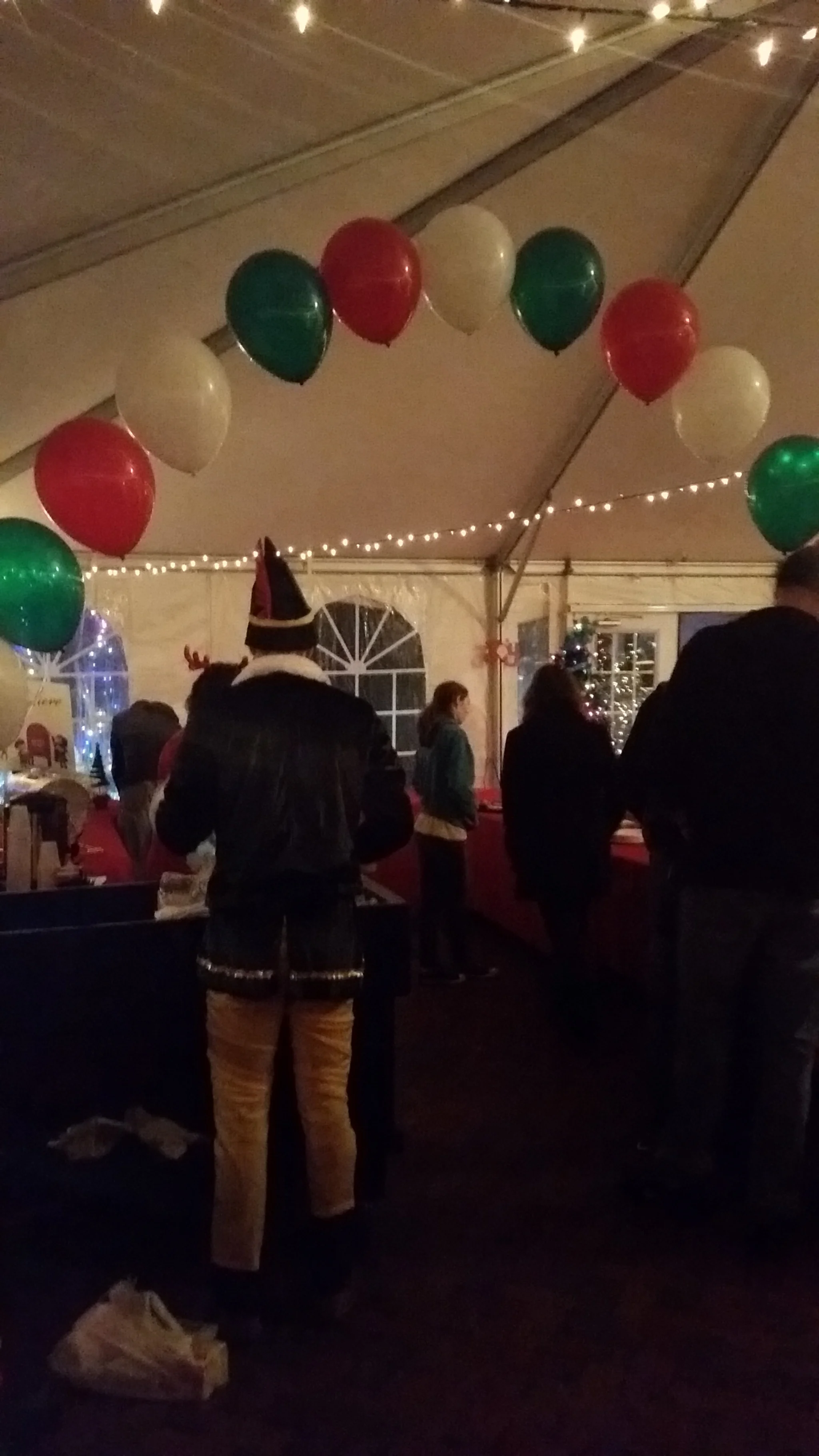 Santa in the Gardens 2014