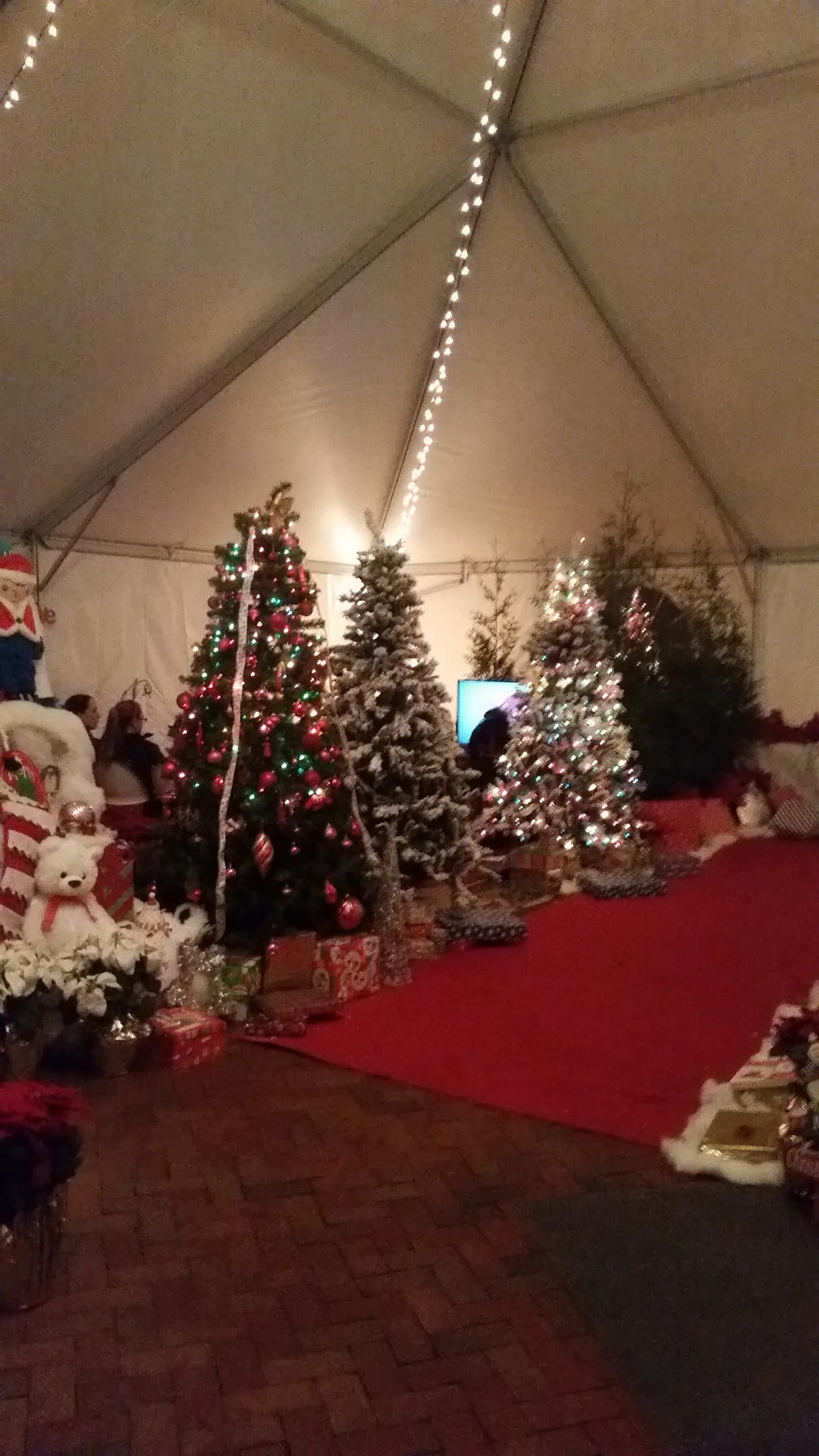 Santa in the Gardens 2014