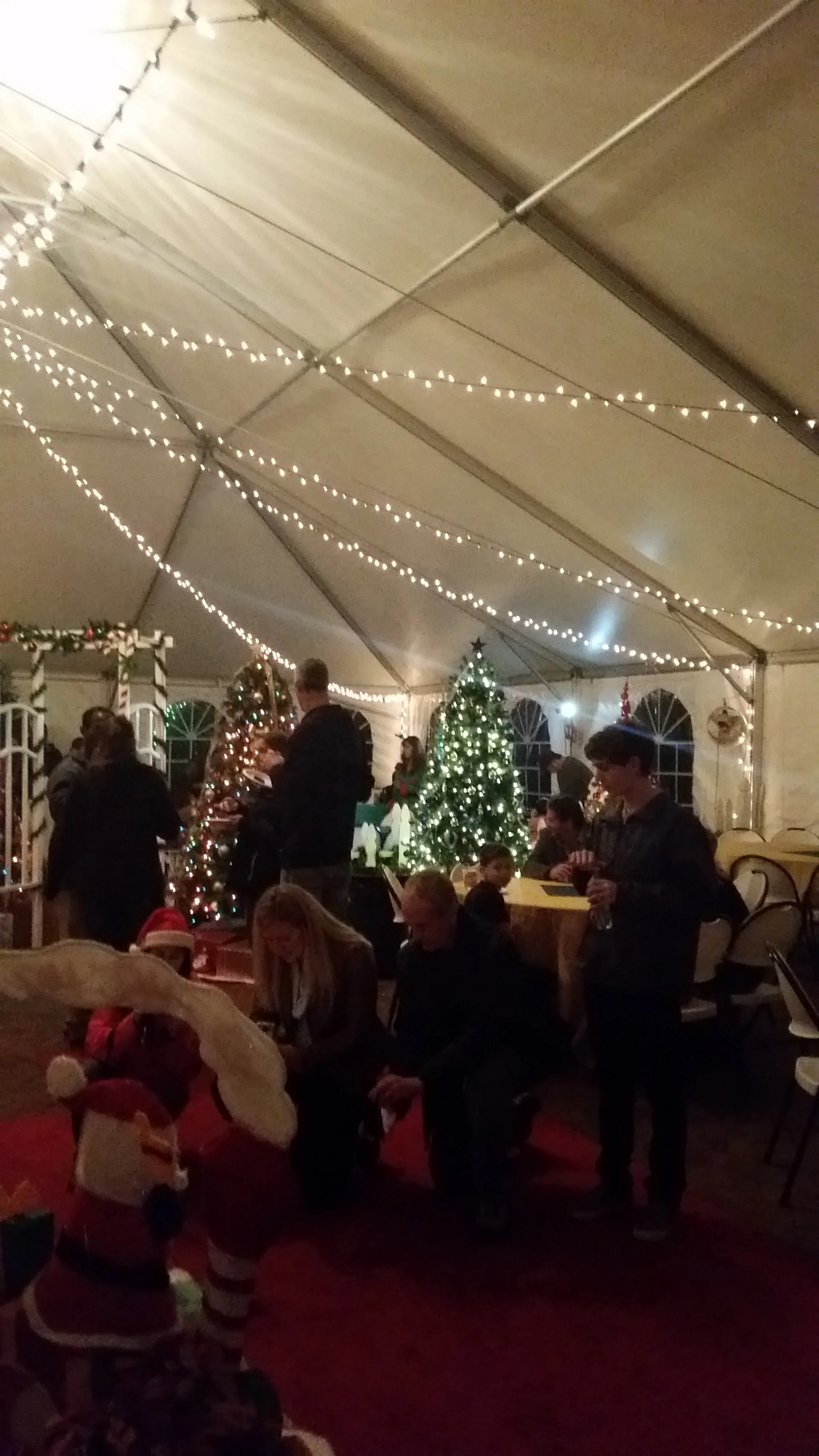 Santa in the Gardens 2014
