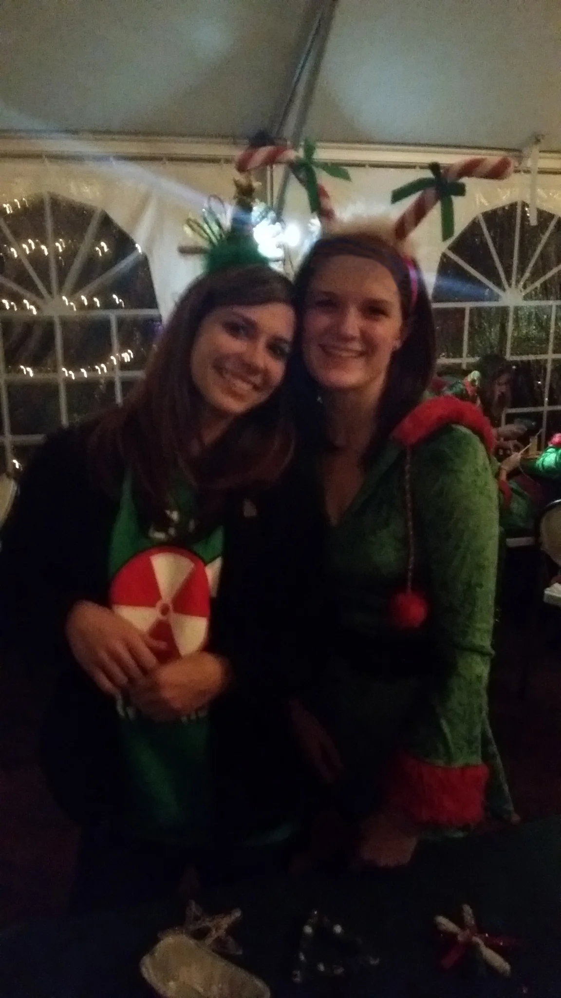 Santa in the Gardens 2014