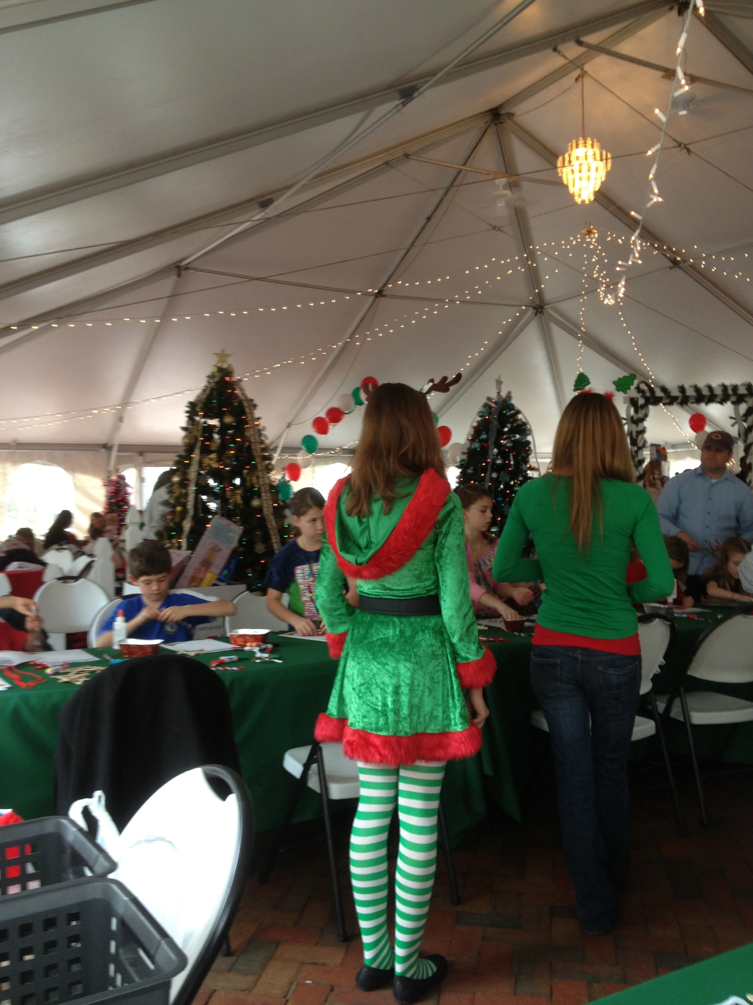 Santa in the Gardens