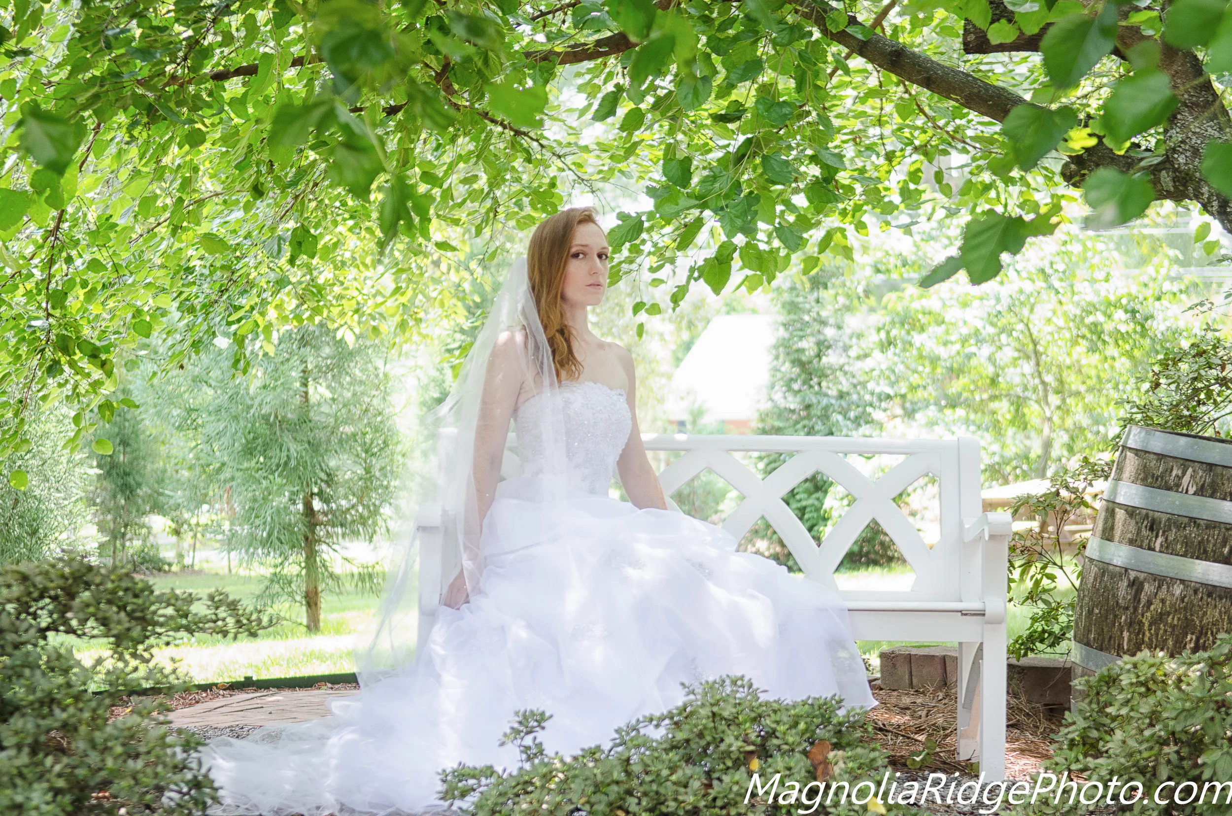 Casey - Hill Wedding