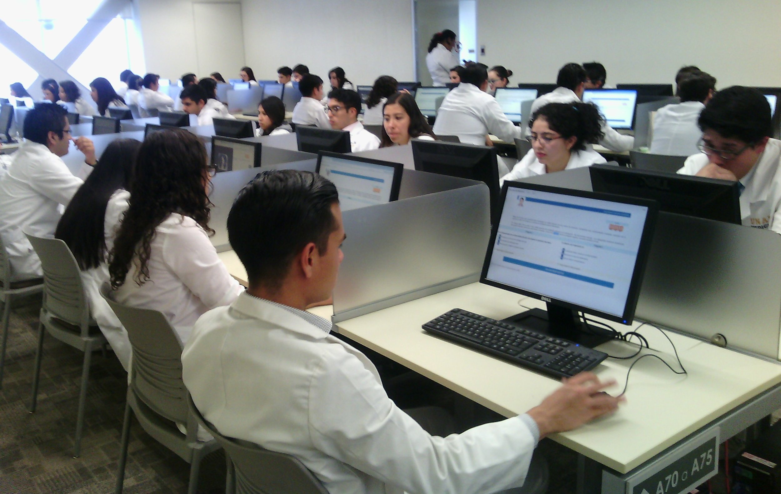 OECD: Graduates from science-related fields are the most employable