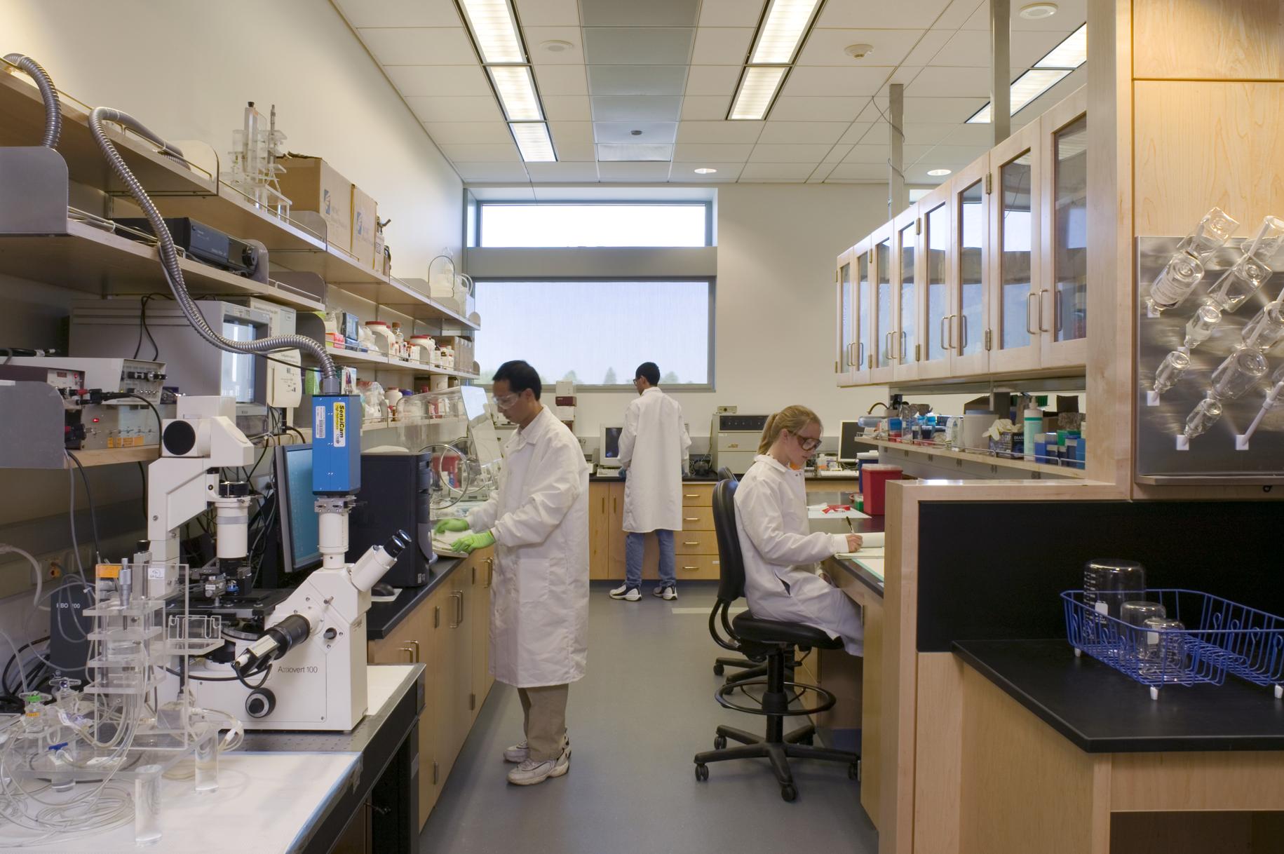 Photo:&nbsp;Biomedical Engineering Lab /&nbsp;UC Davis College of Engineering