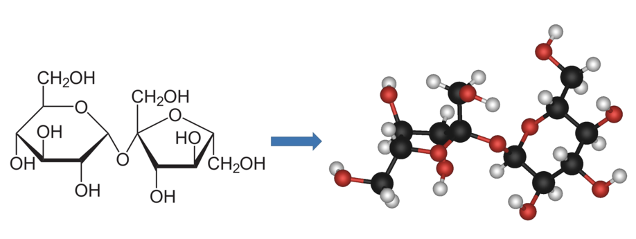 Table 1: The illustration of sucrose (table sugar) changes from a 2-D image on paper (left) to a 3-D object (right) that can be rotated and visualized from a variety of angles by means of computer modeling. Source: Author’s own.