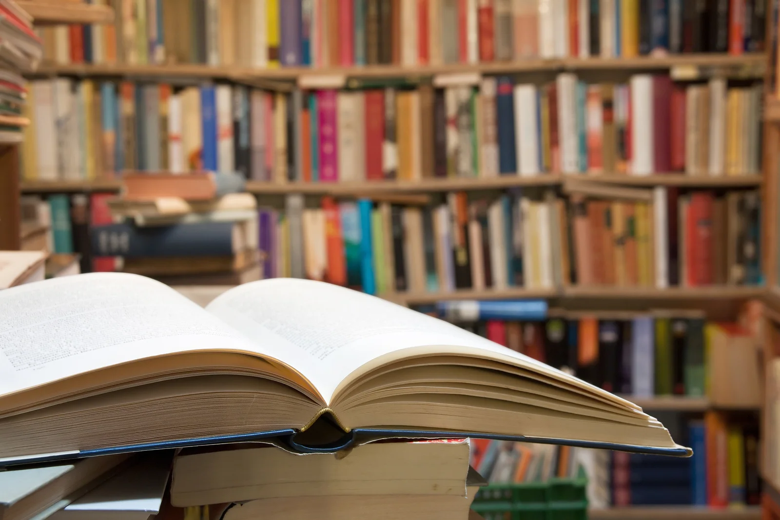 bigstock-open-book-83012912.jpg