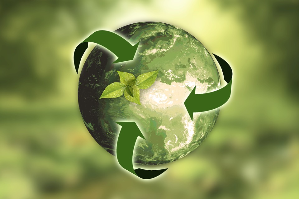 Nature-Leaf-Sustainability-Earth-Arrows-Caution-3294632.jpg