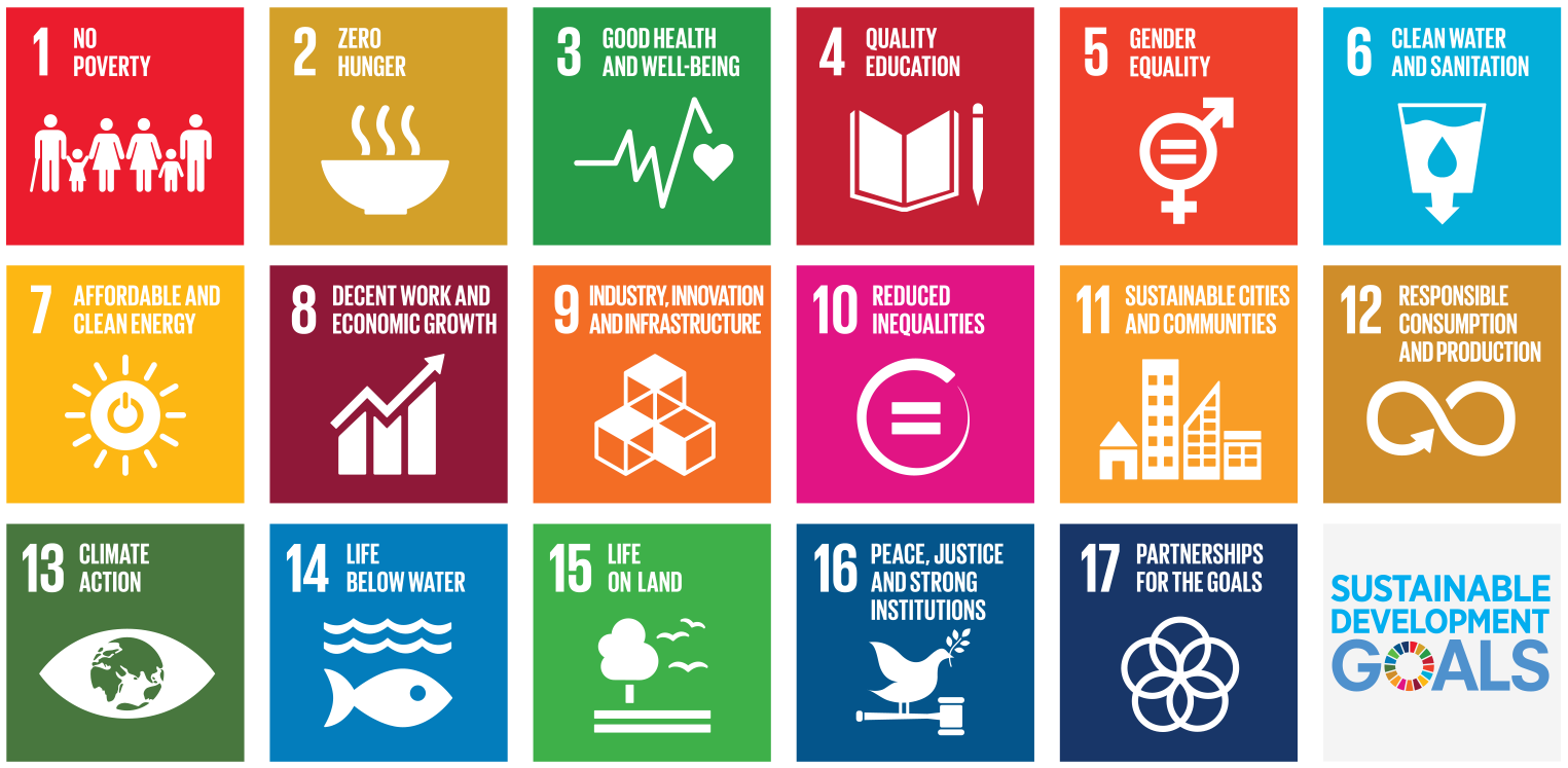 Figure 1: Sustainable Development Goals (SDGs) in Agenda 2030.