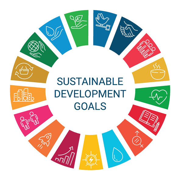 Sustainable Development Goals: A Challenge for Education?