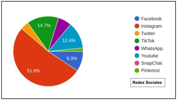 Image 3: Students' social media preferences.