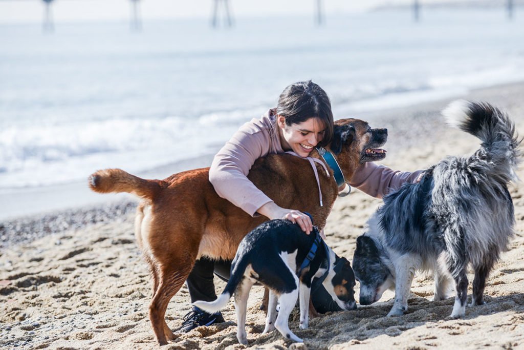 Canine Education Focused on the Human-Dog Tandem